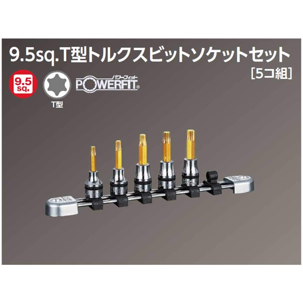 nepros T-Type Torx Bit Set NTQ6T05A