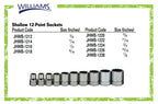 Williams WSB-23FTB 23-Piece 3/8-Inch Drive Socket and Drive Tool Set with Toolbox