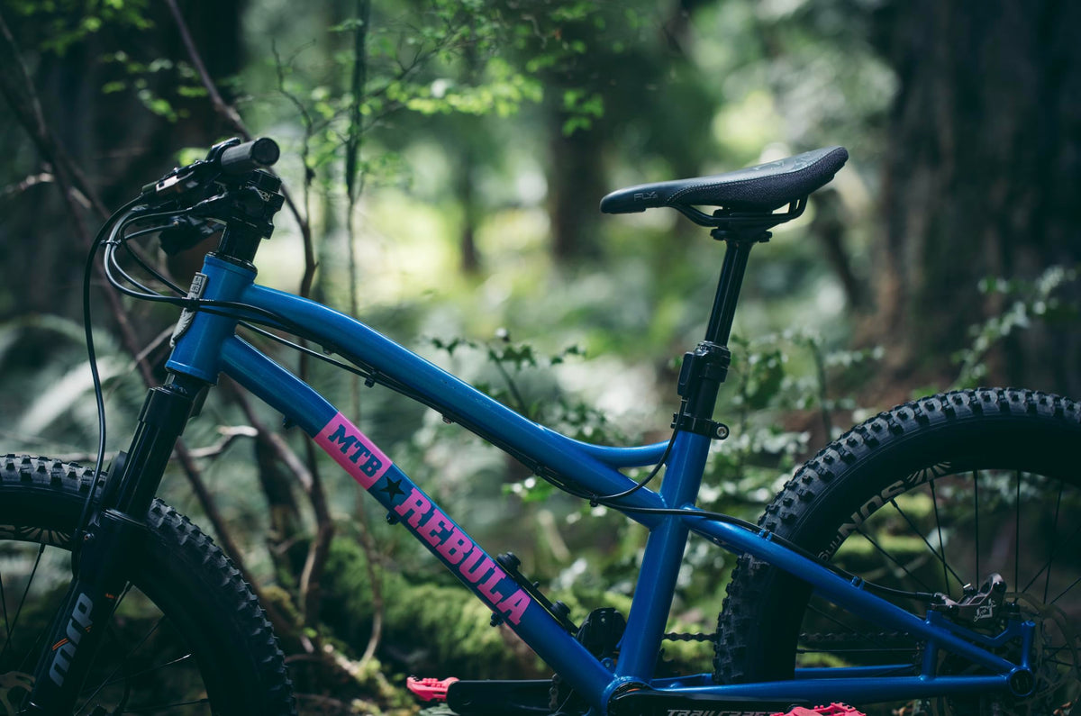 PNW Components Fern Kids Dropper Post - Youth External Routing MTB Seatpost