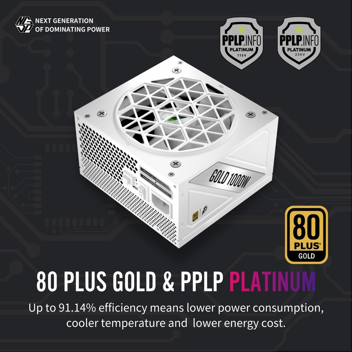 1ST PLAYER NGDP-GLD-1000W PSU Fully Modular PC ATX Power Supply-Computer Power Supplies,80 Plus Gold/PPLP Platinum,ATX 3.1/PCI-E 5.1/Silent FDB Fan with Zero RPM (White)