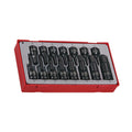 Teng Tools 15 Piece Metric Hex Bit Socket Set 3/8 & 1/2 Drive - TT9015HX