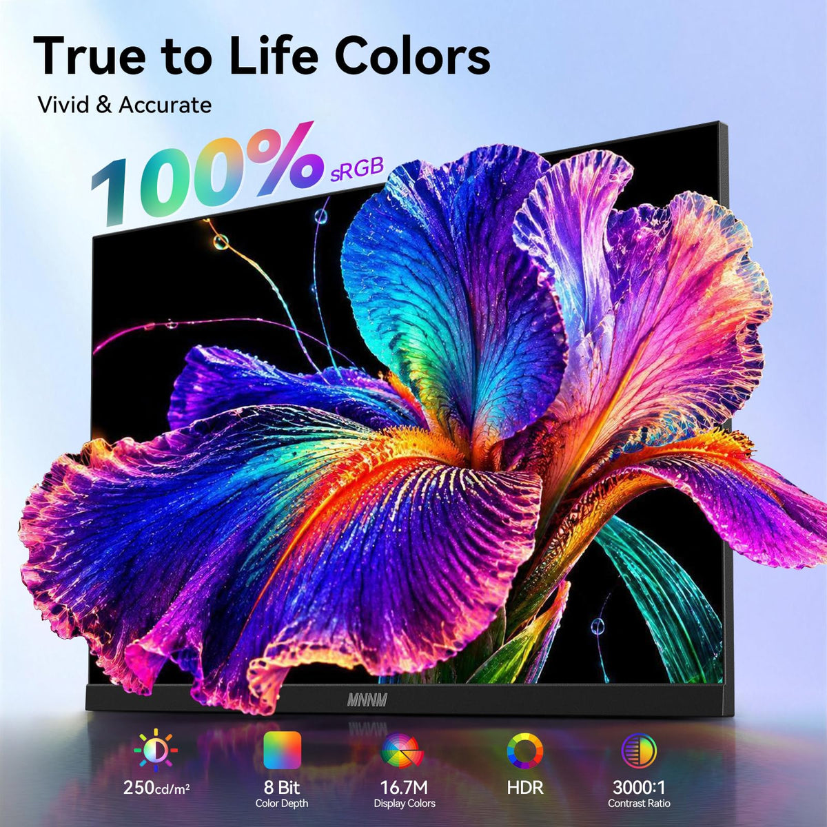 24 Inch Computer Monitor FHD 1080p 100Hz VA LED Screen Dual Speakers
